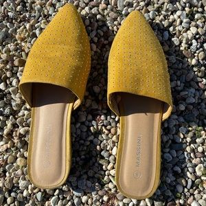 Beautiful ☀️ Mules!